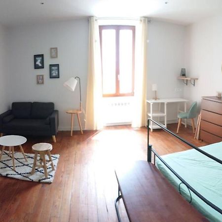 벨가르드쉬르발세린 Le Beausejour - Cosy T2 - Business Ou We - Gare 아파트 외부 사진